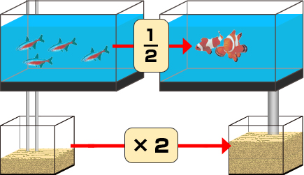 淡水魚と海水魚の飼育の大きな違い